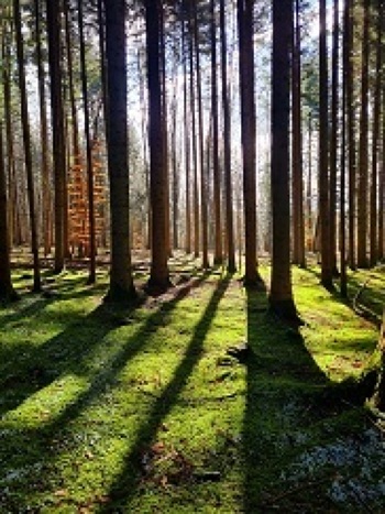 Wanderung Neue Wege wagen!