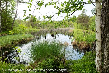 Wunderland Moor - Natur erleben: